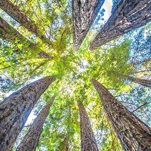 Meet your Posher, Gilberto